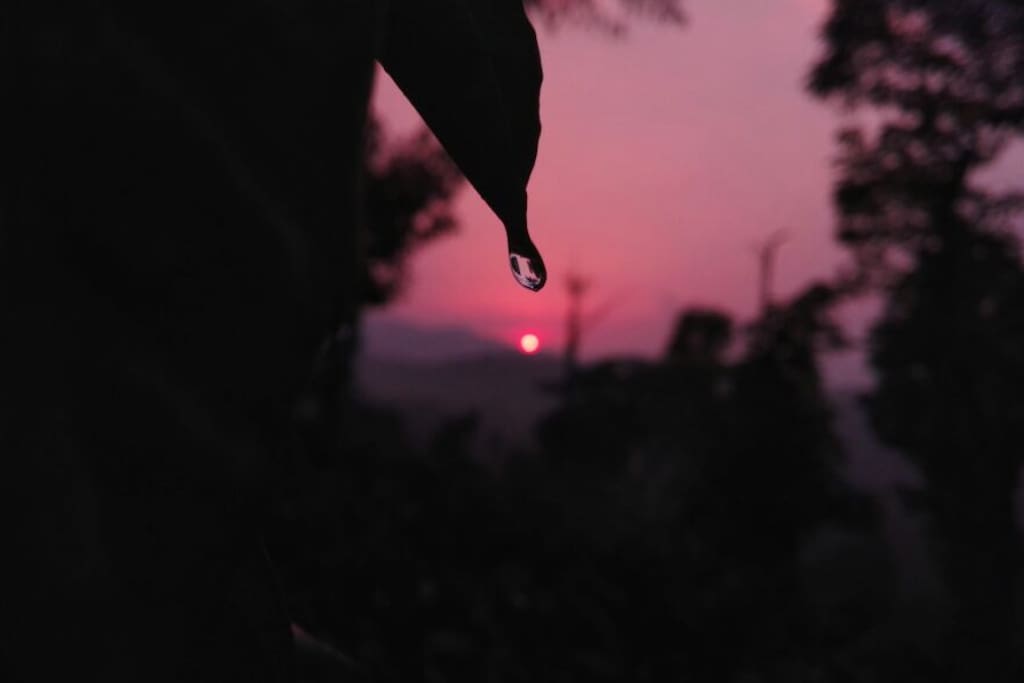 View of Sunset from 27trees Homestay