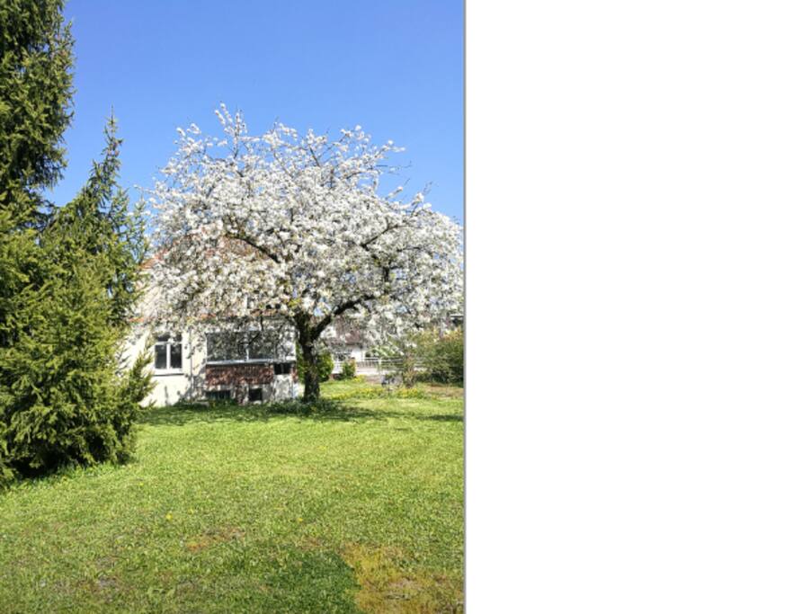 Vue du Jardin