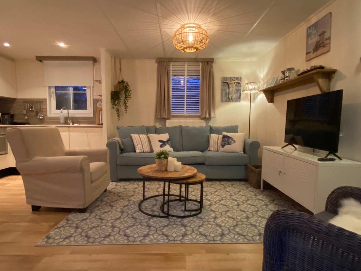 The living area features a cozy blue sofa adorned with decorative pillows, accompanied by a light-colored armchair. A round coffee table sits on a patterned rug. Soft lighting from a stylish ceiling fixture illuminates the space, while a flat-screen TV is positioned on a white media cabinet.