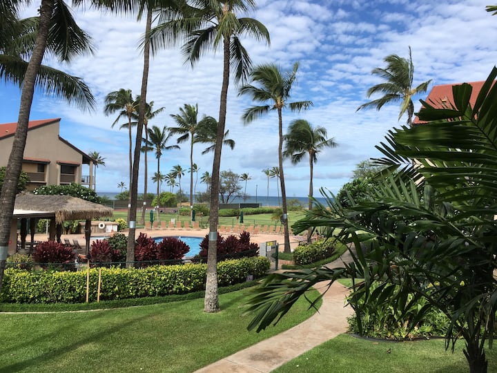 Stunning Luxury Oceanview Condo Apartments for Rent in Kihei, Hawaii