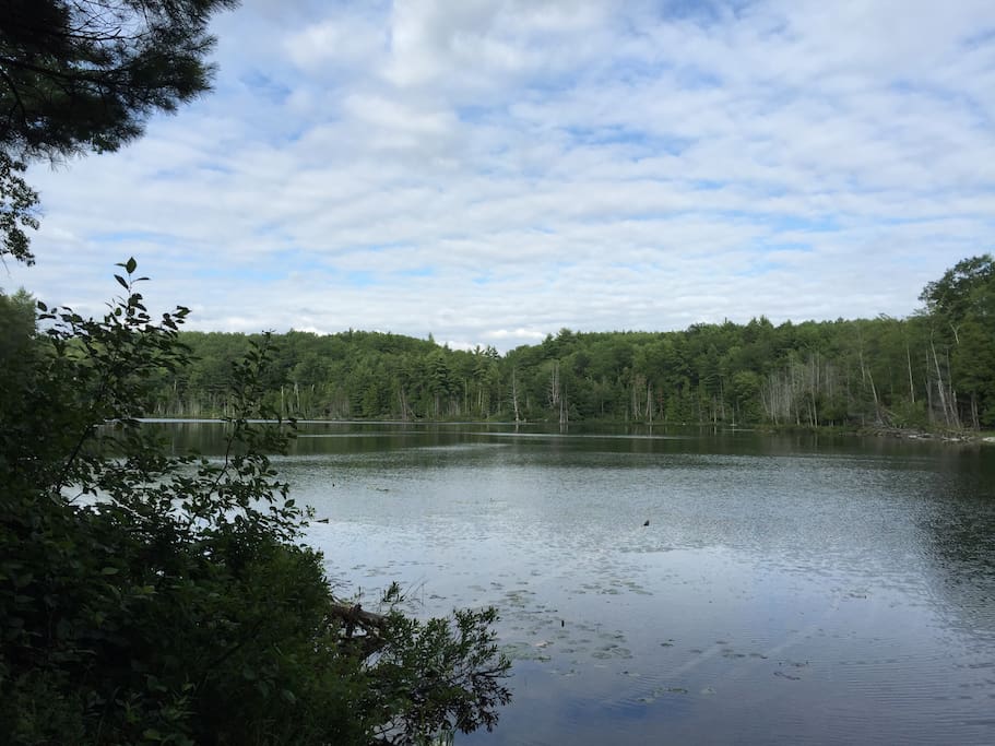 Hike along Ransom Lake Natural Area adjacent to Tranquility Base
