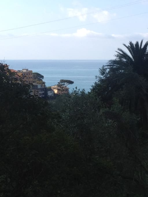 view from the terrace