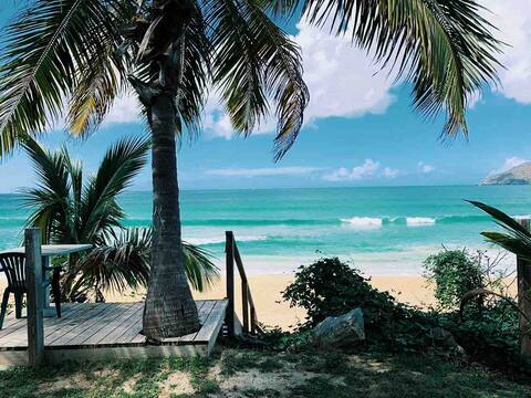 GreenLeafOasis #1 | Turquoise Ocean Views