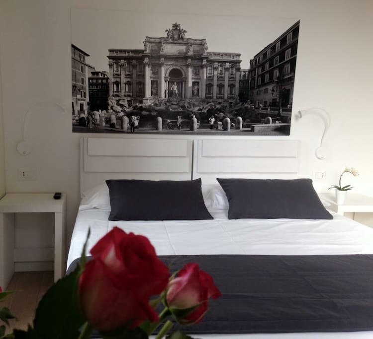 Stanza Trevi _ Trevi room