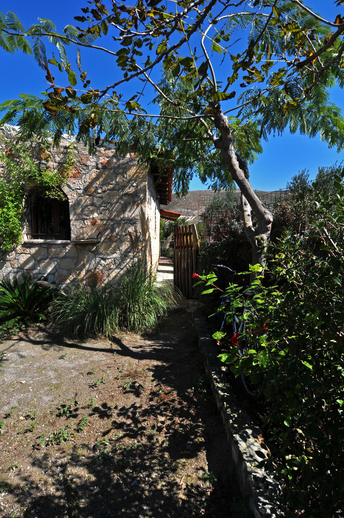 A narrow pathway is framed by lush greenery, leading to a wooden gate. Rustic stone walls and a well-maintained garden accompany the scene, with hints of outdoor seating and bicycles visible. Sunlight filters through the trees, creating a serene and inviting entrance.