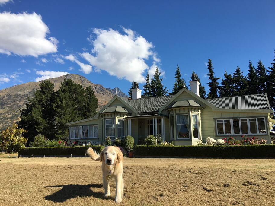 Laurel Bank House