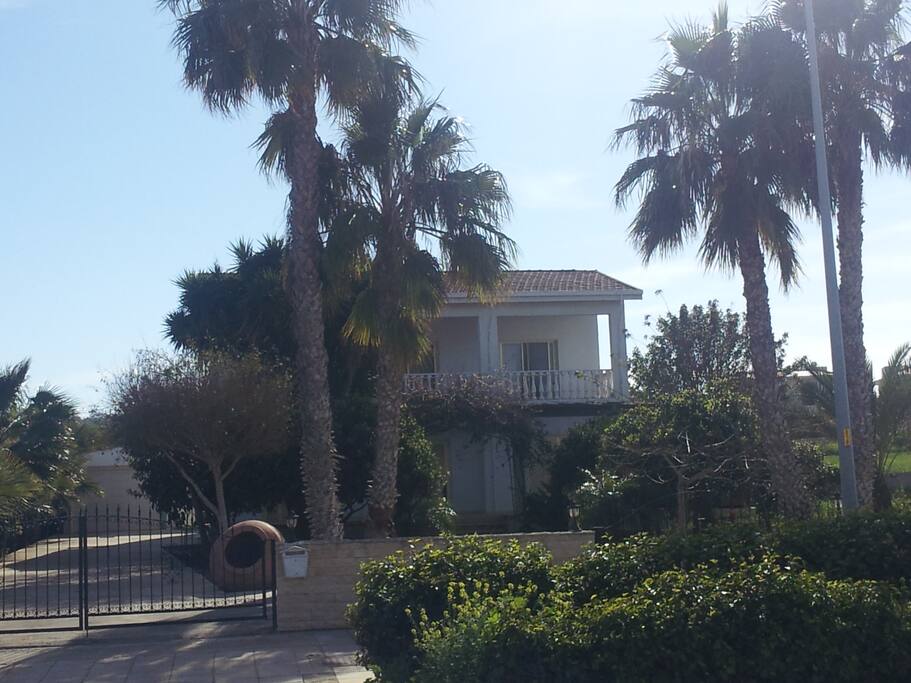 Erini Villa Entrance
Palm Trees