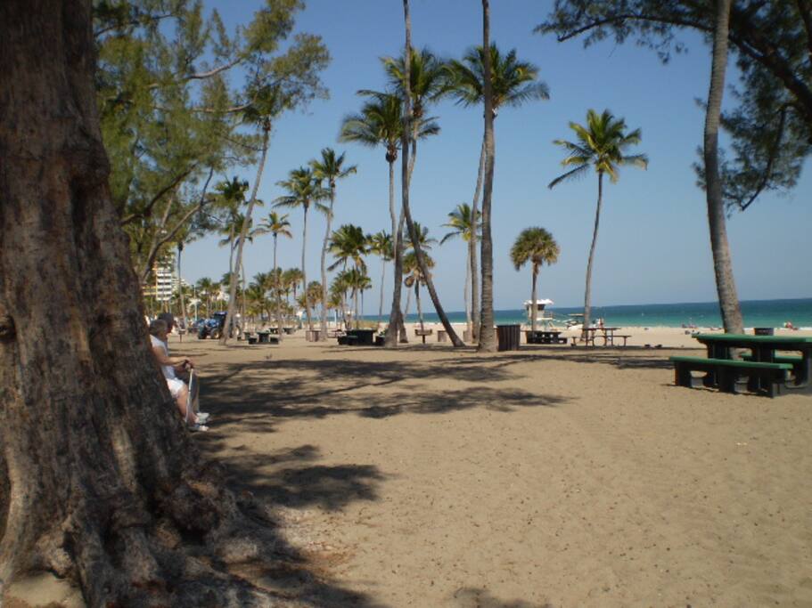 fort Lauderdale beach