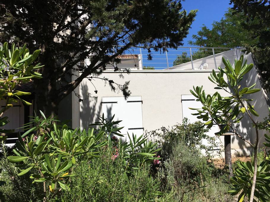 Jardin