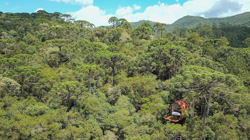 Cabana Experience managed Airbnb listing 1