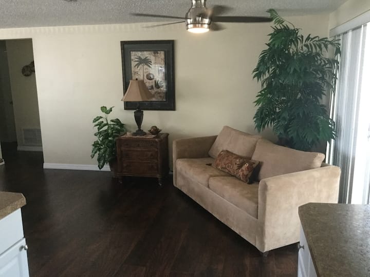 Top 10 PetFriendly Rentals In Pasco County, Florida Trip101