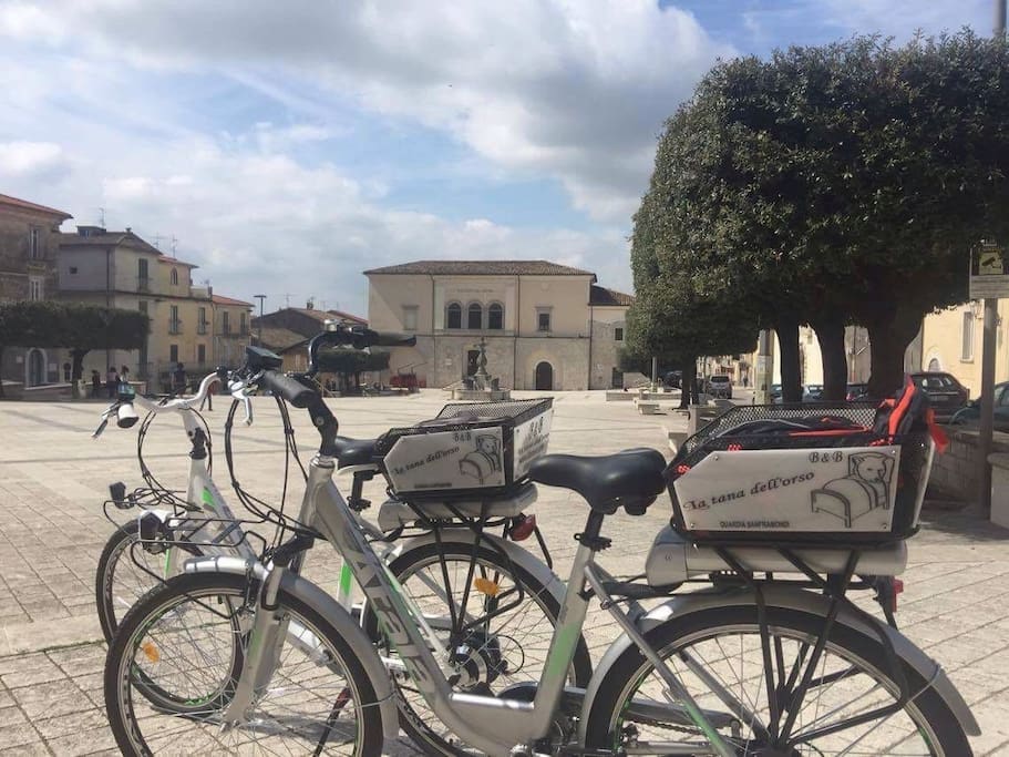 biciclette con motore elettrico