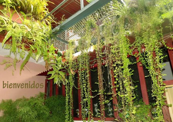 Hostal Licor Patios y Terrazas (Room 2 de 2)