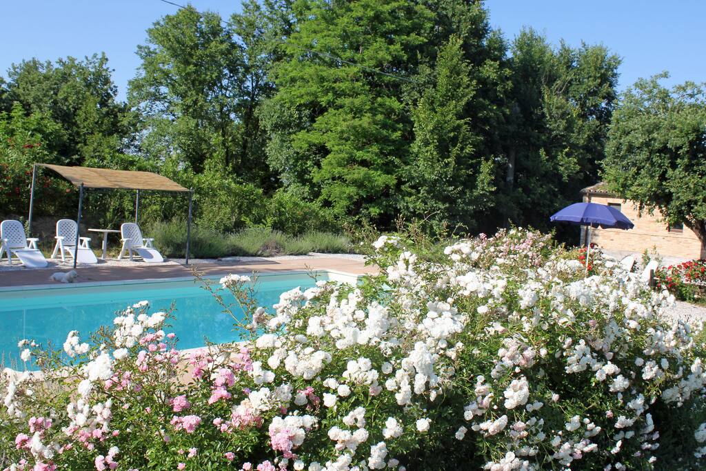 Pool area with sun loungers