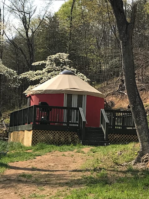 Glamp in a yurt- camping but with style & comfort.