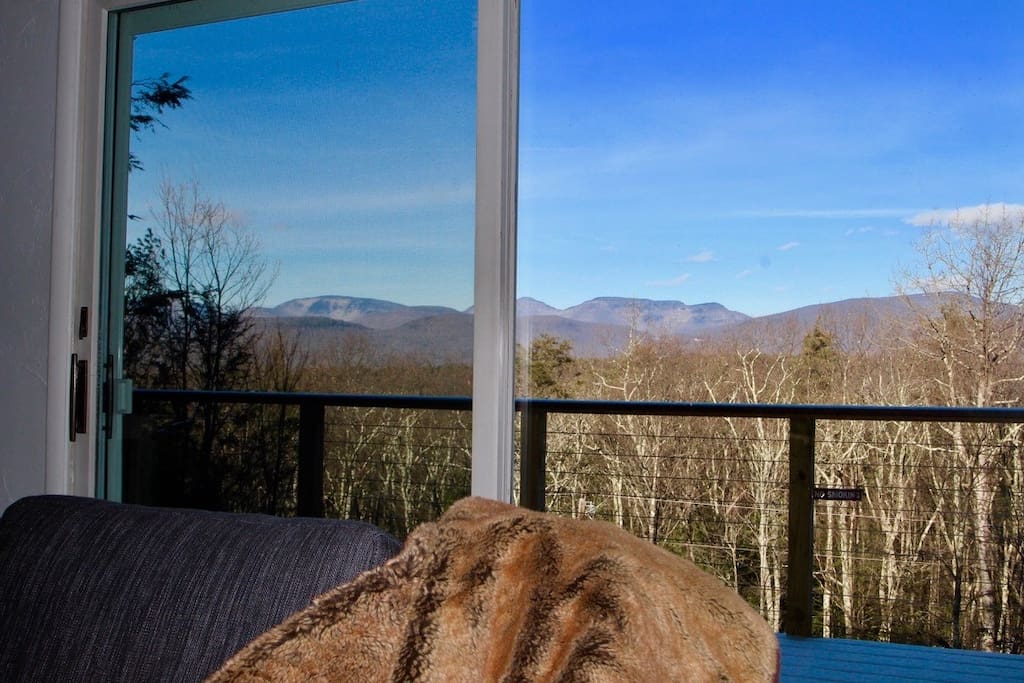 Rooms with a view.