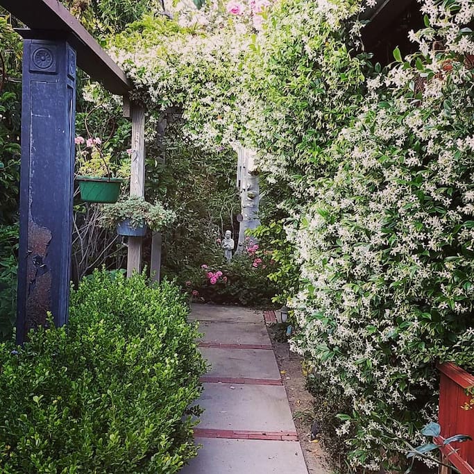 Garden path leads to garden