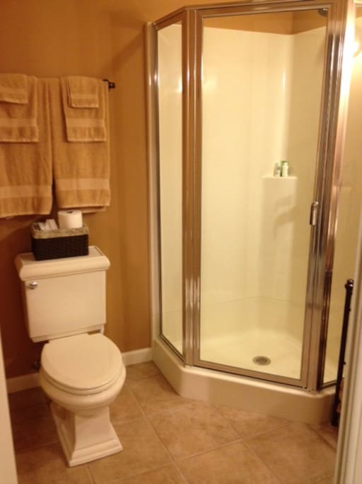 toilet and shower