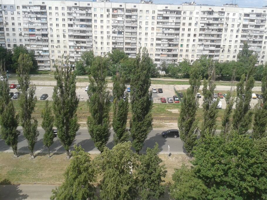 вид из окна
