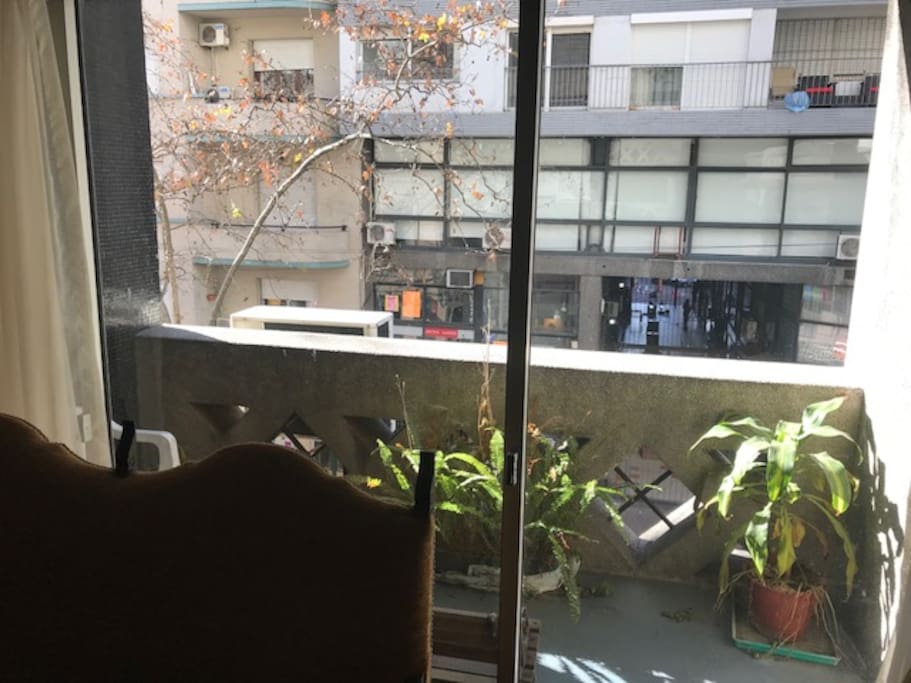 TERRAZA