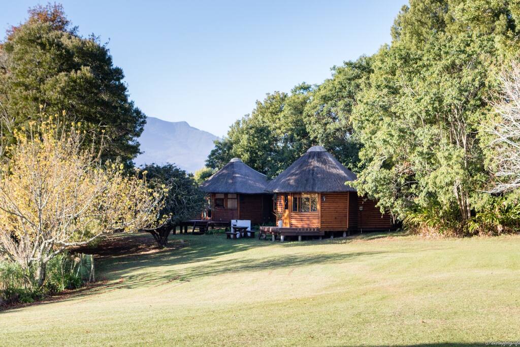Three Log Cabins
