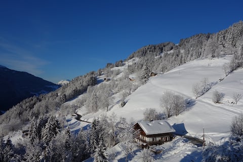 Propriété Airbnb réussie: Gite 14 p. near Les Saisies à Villard Sur Doron