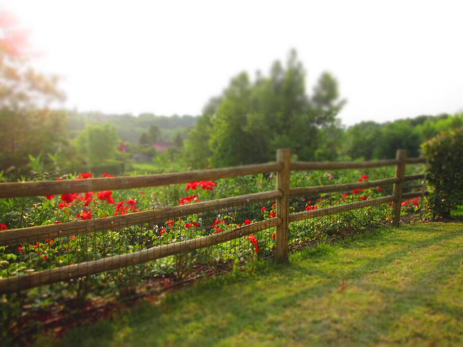 Giardino Privato
