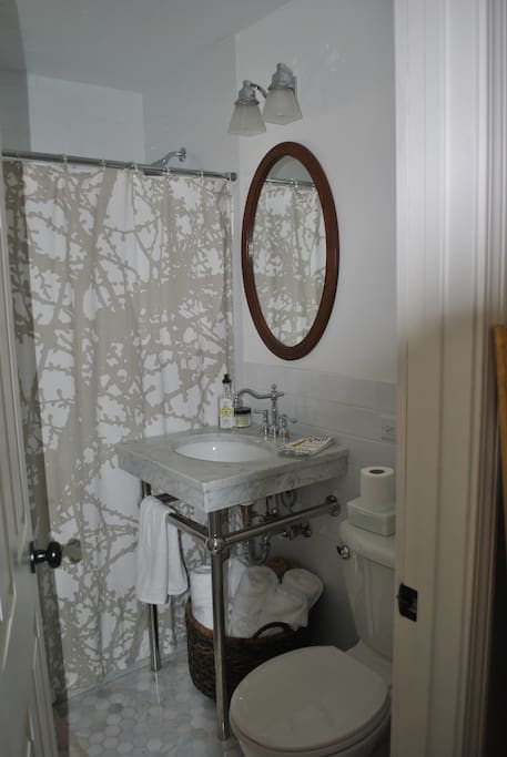 shower bathroom and linen closet