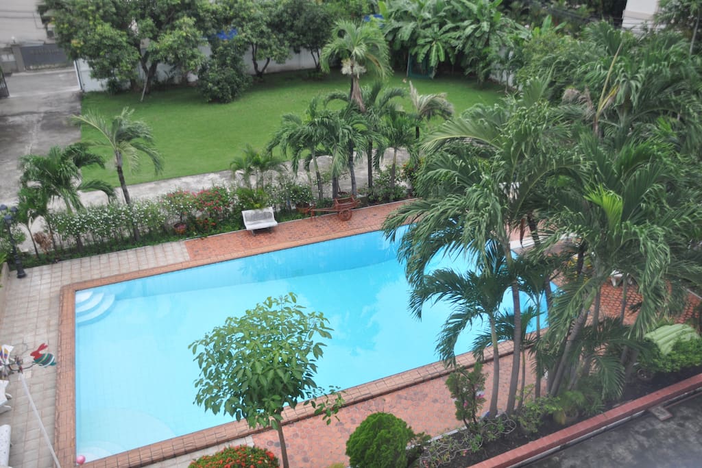 Piscine et jardin