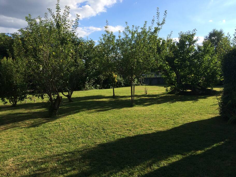 Jardin arboré