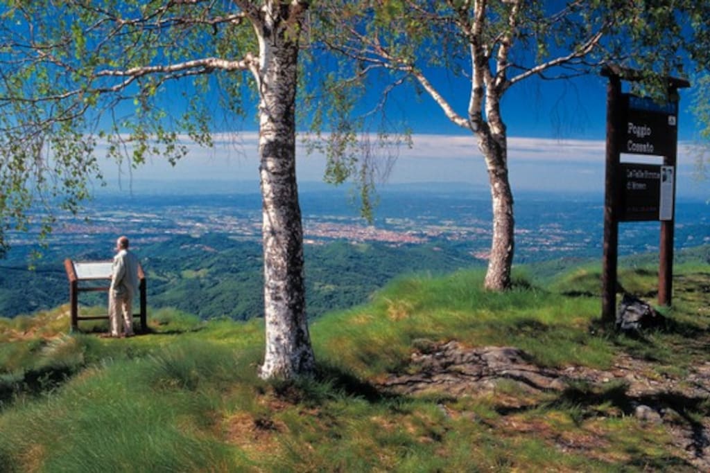 Belvedere da Panoramica Zegna