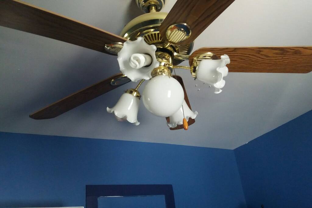ceiling fan in 1 bedroom lock off suite