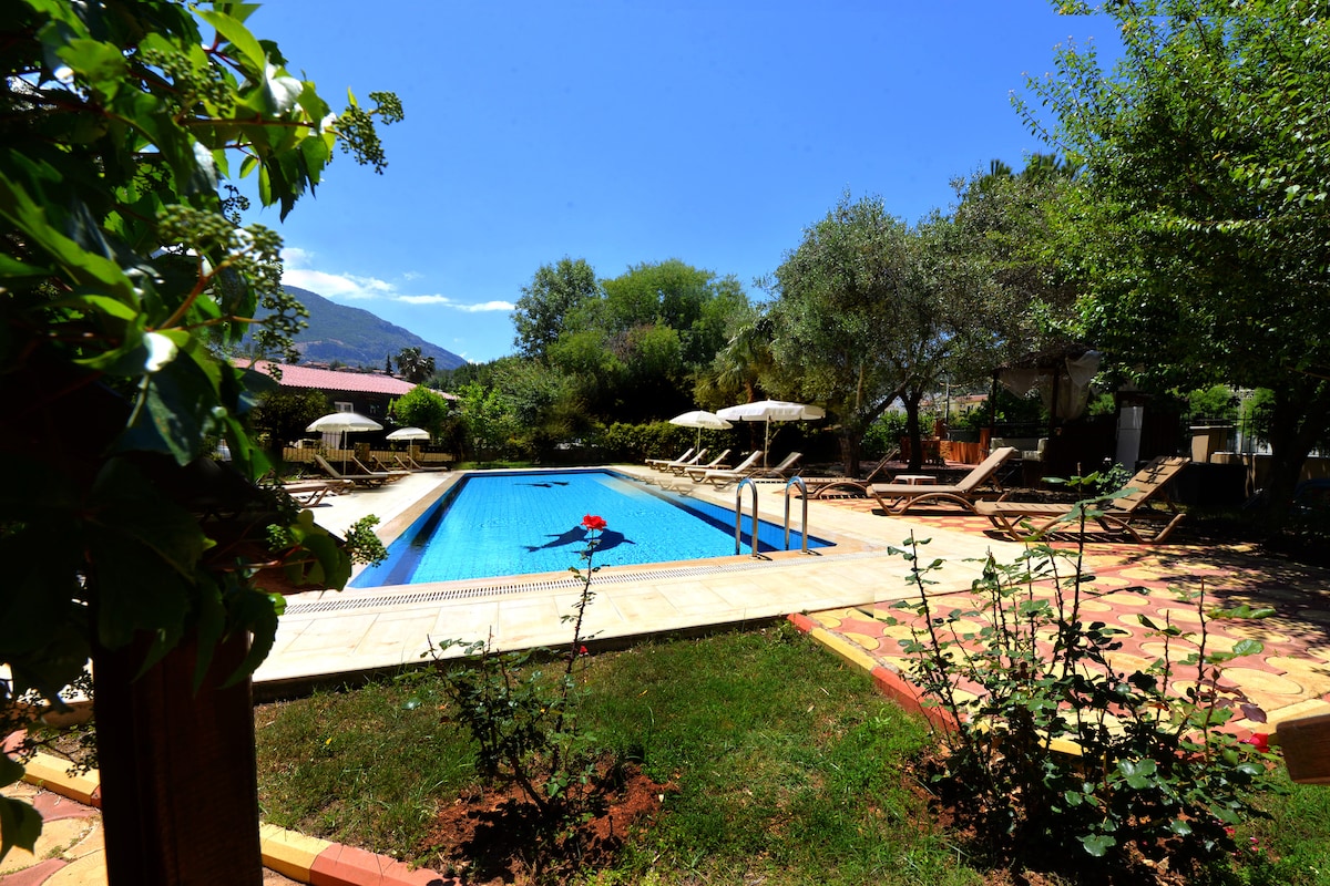 A scenic outdoor space is showcased, featuring a large swimming pool surrounded by lounge chairs and umbrellas. Lush greenery, including olive trees and flower beds, frames the area, while mountains are visible in the background under a clear blue sky.