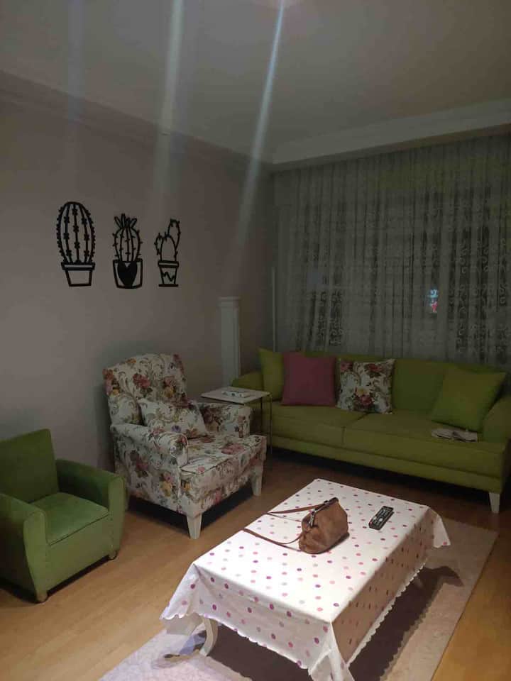 Altınoluk Ta Limanda Denize Sıfır Kiralık Daire - Altınoluk