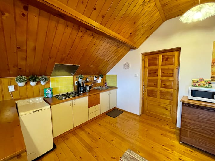 Central Rustic Loft - Brașov