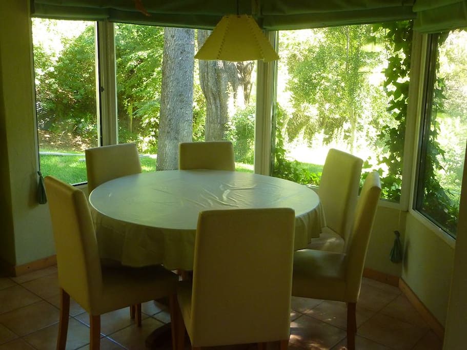 Comedor lleno de luz, en el medio del bosque