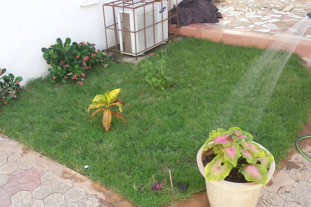 jardin