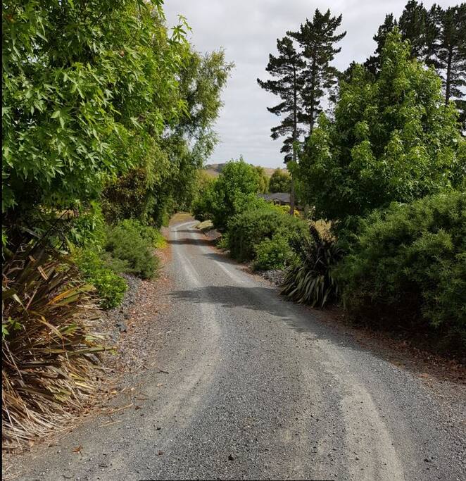 Our drive leading to the B & B
