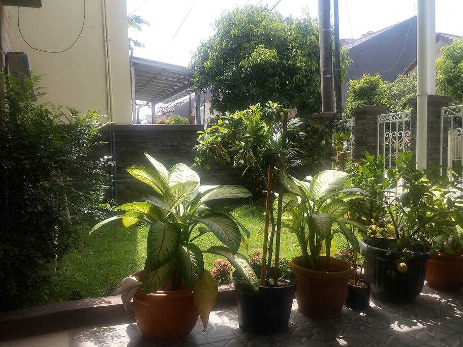 Taman depan samping rumah