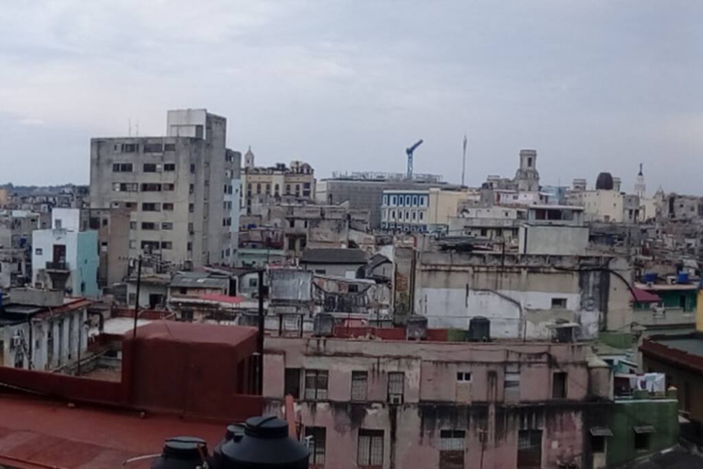 View from the terrace
