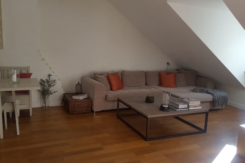Huge comfy sofa (sleeps 1)