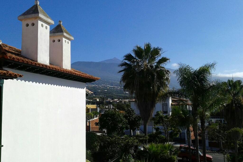 View from the terrace