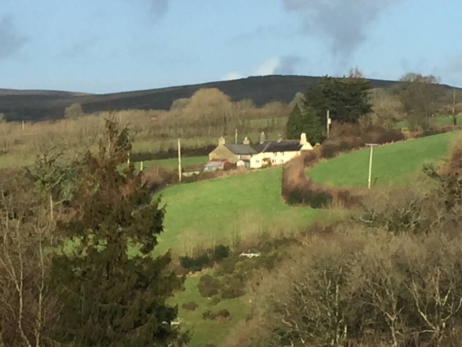 Kings Cottage and neighbours