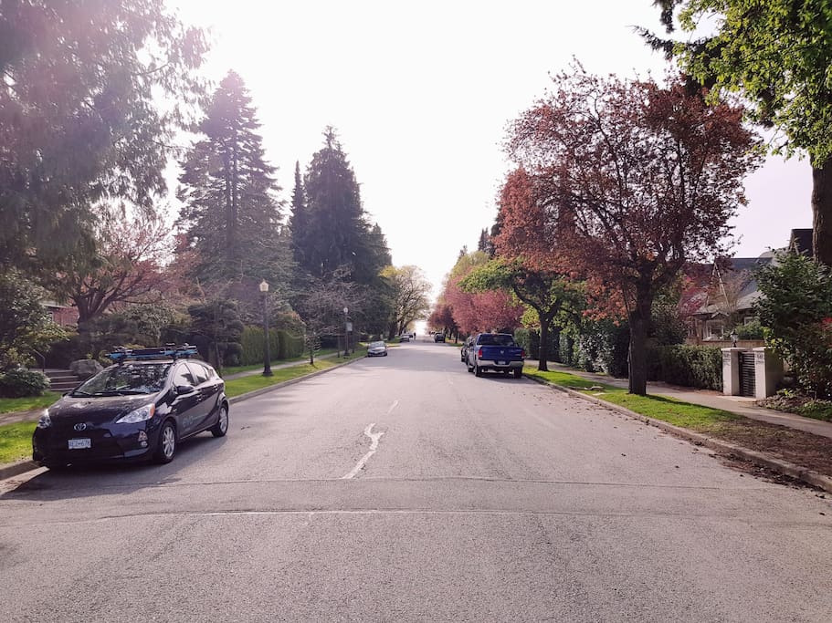 Idyllic tree lined street in a family oriented neighborhood. Lots of free street parking!