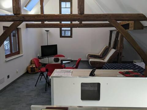 Airbnb performant: typical Alsatian outbuilding à Bas Rhin