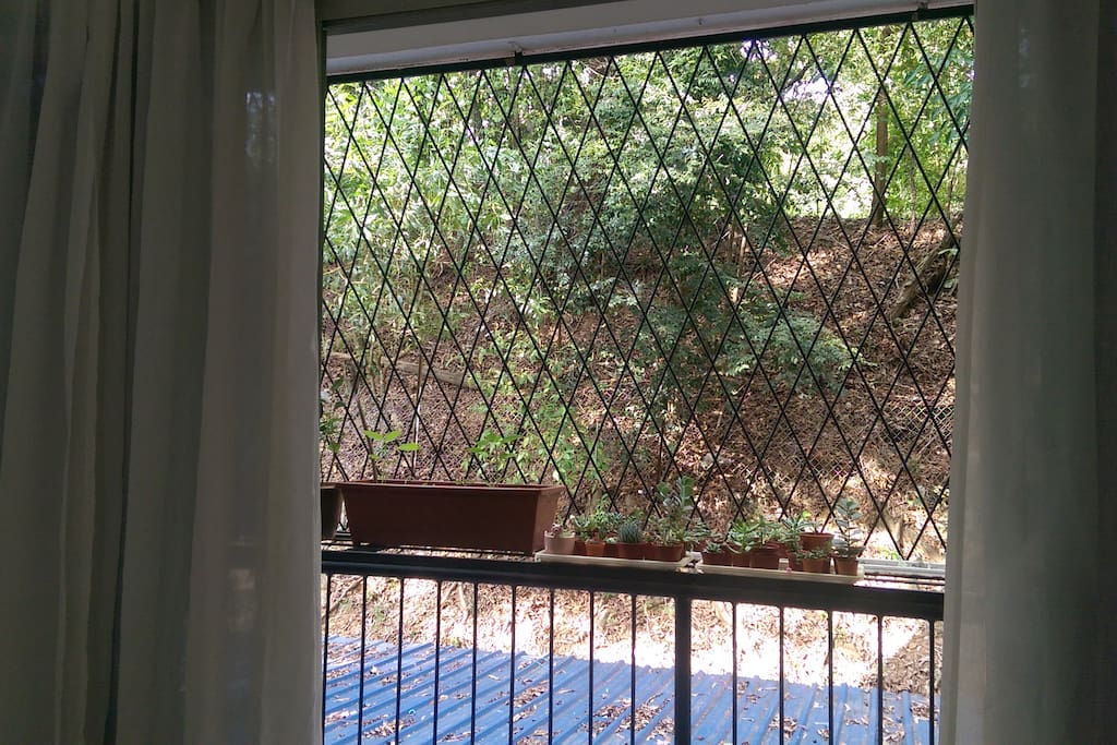 A cozy balcony facing the nature. A place where you can catch a breath of fresh air.