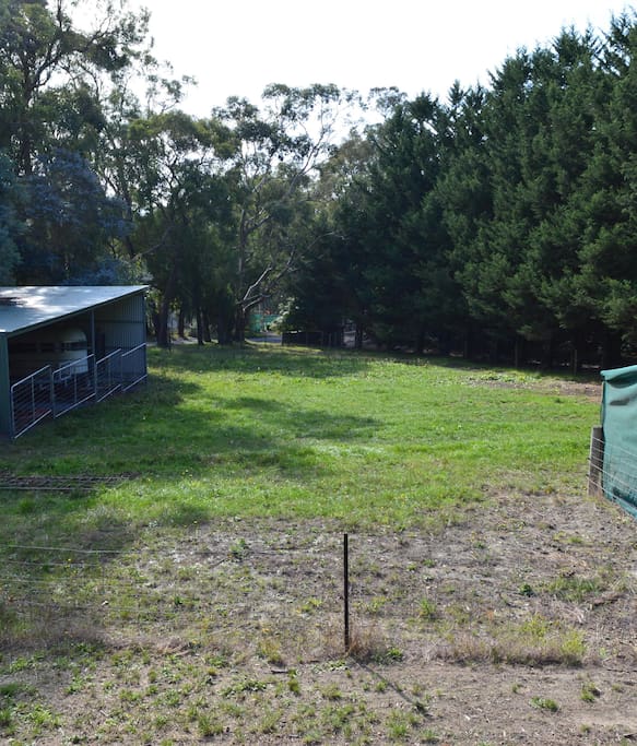 View of the small paddock in front of the Cottage.