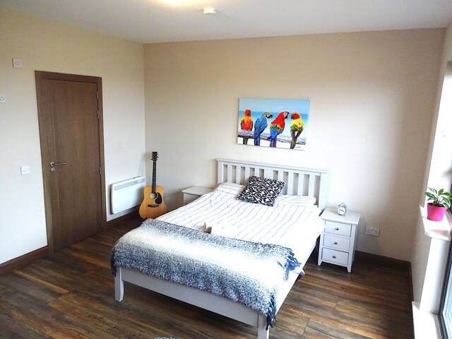SPACIOUS EN SUITE ROOM IN HEART OF BETTYSTOWN