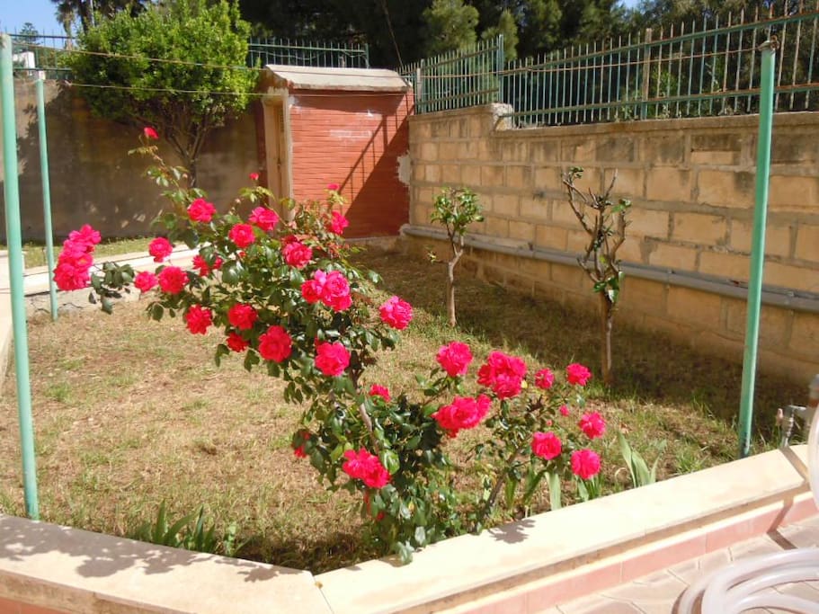 giardino