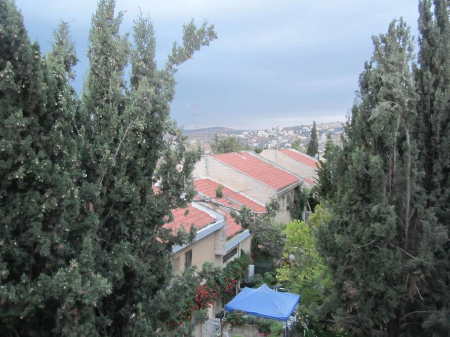 The view from the balcony